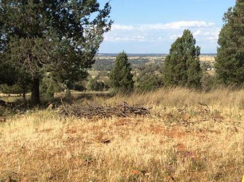 Bulwarra Bed & Breakfast