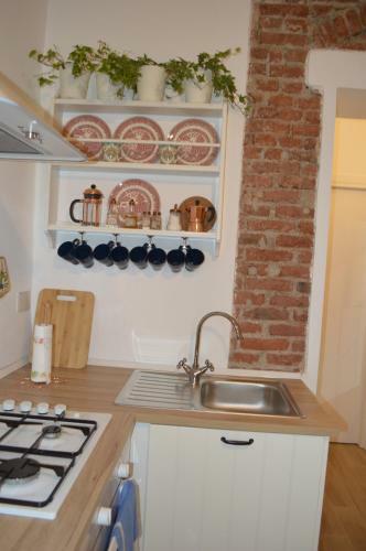 Apartamento La Bela Rosin By Torino Home