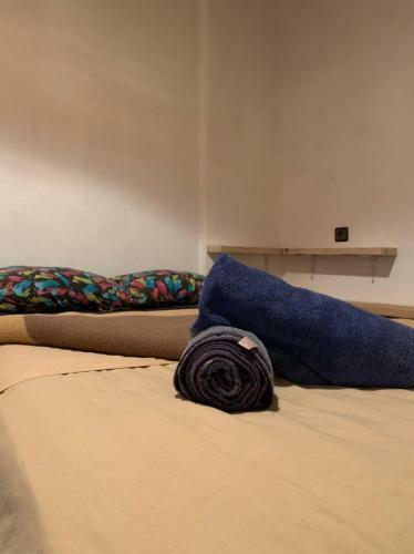 Albergue Boilers Surfstay