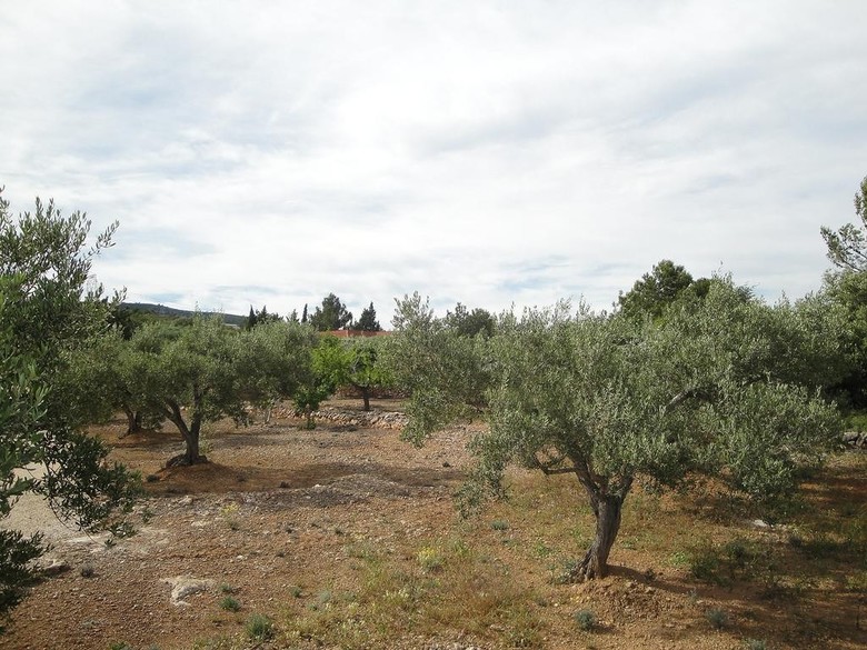 Holiday Home El Rinconcito L�ampolla