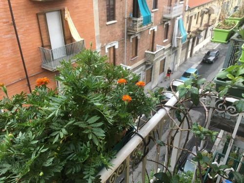 Appartamento Cozy