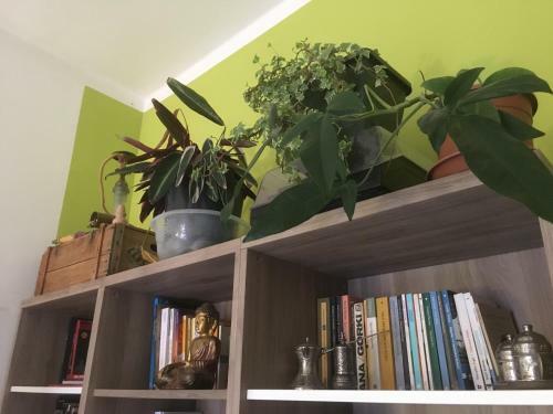 Appartamento Cozy