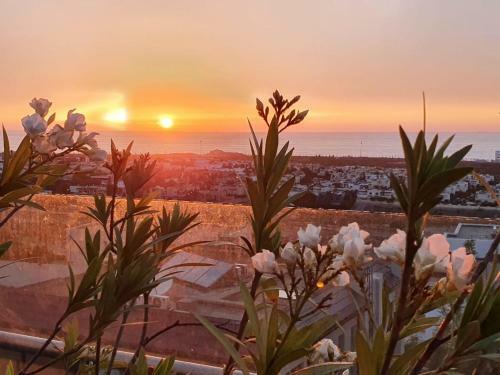 Apartamento Ocean Et Prestige
