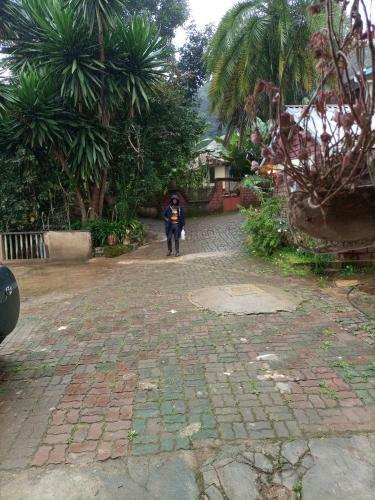 Steda Home Stay