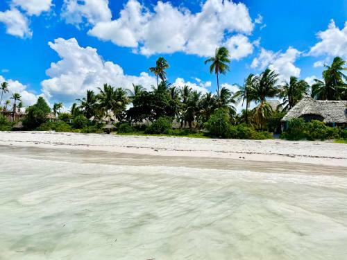 Hotel Mambo Beach Villas