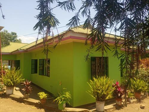 Kennedy Homestay