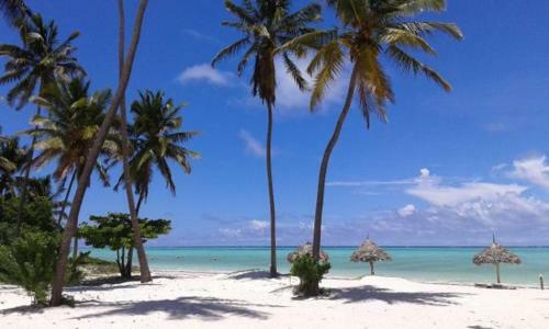 Hotel Heart Of Zanzibar Bungalows