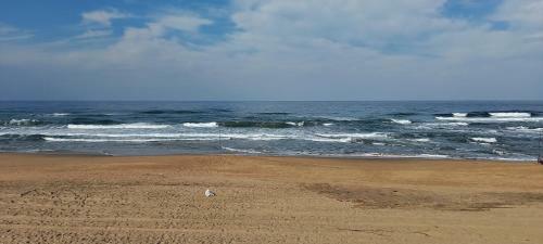 Apartamento Shoreline