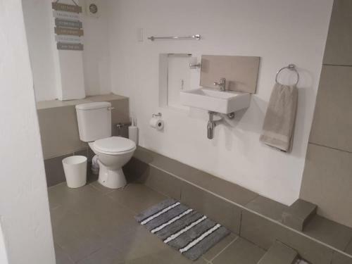 The Nest Basement Apartment
