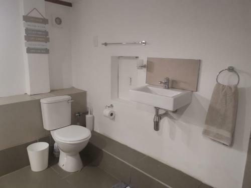 The Nest Basement Apartment