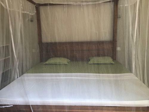 Ayurveda Homestay