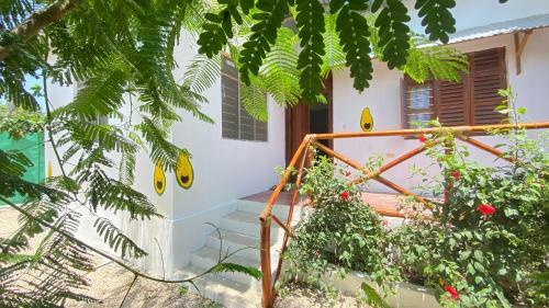 Bed & Breakfast Avocado House Nungwi