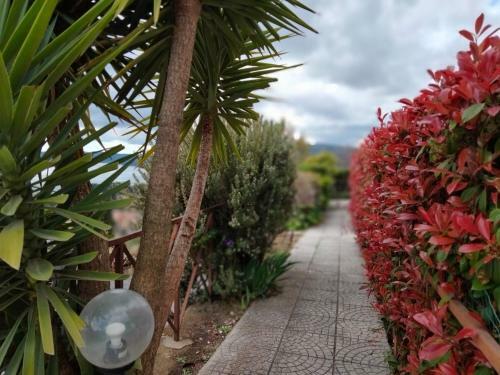 Apartamento Sguardo Sul Lago
