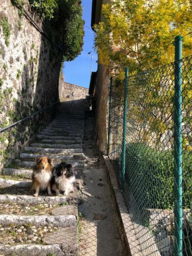 B&B Alle Scalette