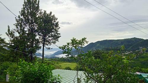 Baakhei Campsite Homestay