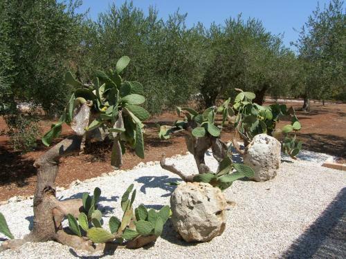Tenuta Miliceddu