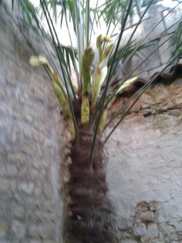 Bed & Breakfast Chambres D'h�tes Bleynie-ruine de Rome