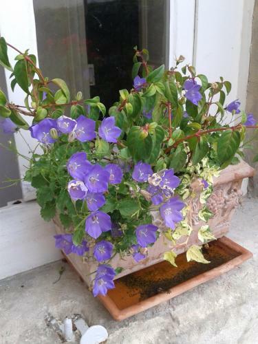 Bed & Breakfast Chambres D'h�tes Bleynie-ruine de Rome