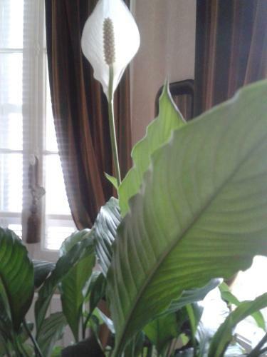Bed & Breakfast Chambres D'h�tes Bleynie-ruine de Rome