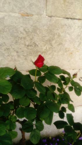 Bed & Breakfast Chambres D'h�tes Bleynie-ruine de Rome