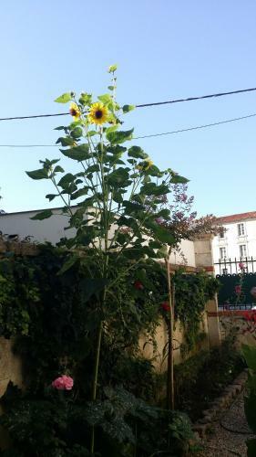 Bed & Breakfast Chambres D'h�tes Bleynie-ruine de Rome