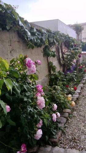 Bed & Breakfast Chambres D'h�tes Bleynie-ruine de Rome
