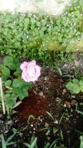 Bed & Breakfast Chambres D'h�tes Bleynie-ruine de Rome