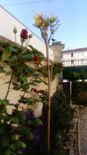 Bed & Breakfast Chambres D'h�tes Bleynie-ruine de Rome