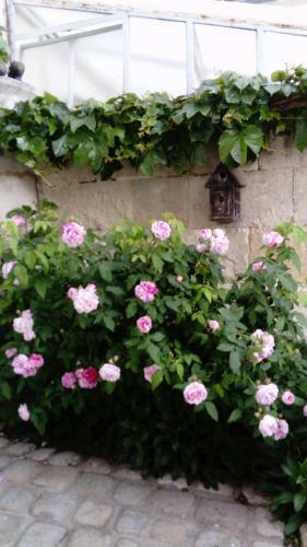 Bed & Breakfast Chambres D'h�tes Bleynie-ruine de Rome