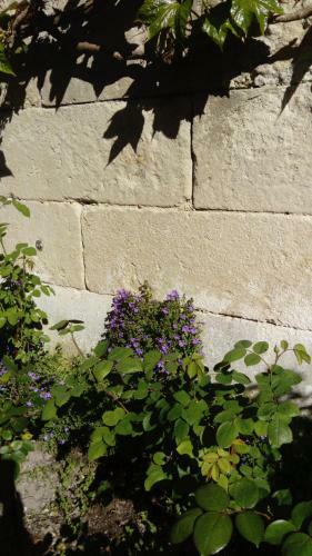 Bed & Breakfast Chambres D'h�tes Bleynie-ruine de Rome