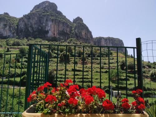 B&B Taccu Maccu