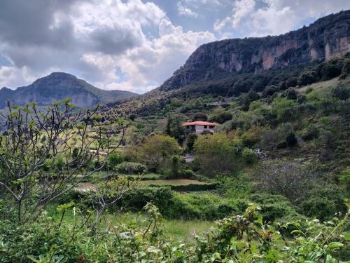 B&B Taccu Maccu