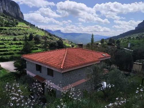 B&B Taccu Maccu