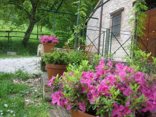 Apartamento Agriturismo San Lorenzo In Torre