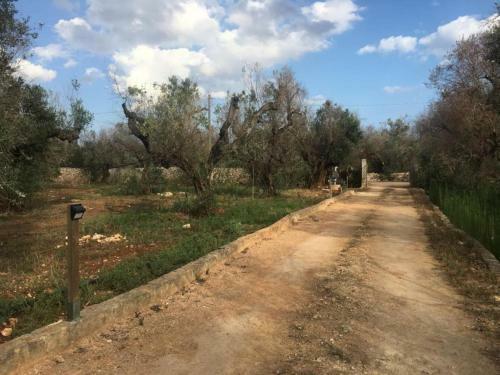 Il Campo