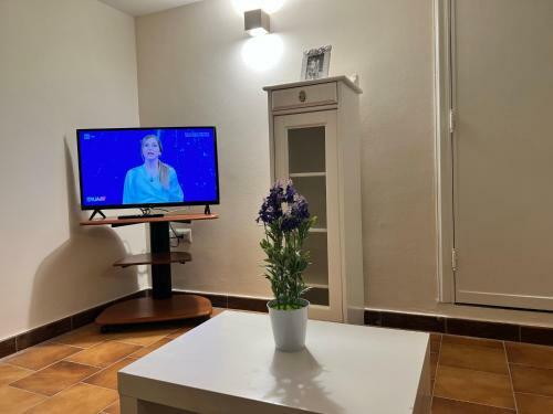 Apartamento Mini Coccola