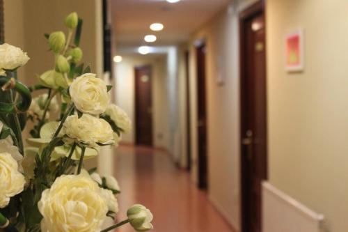 Hotel Vald�s