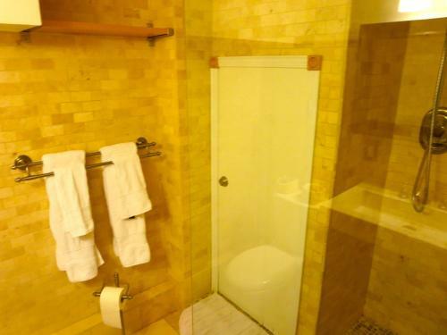 Executive Underground Apartment
