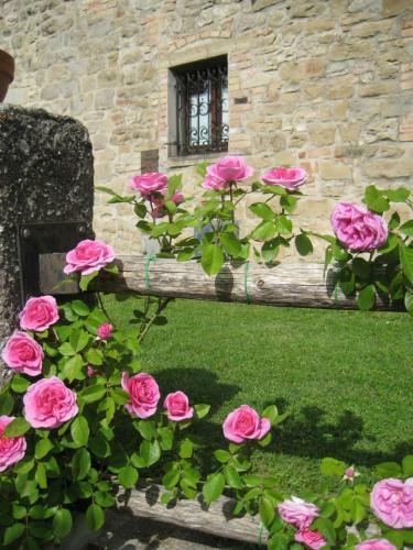 Agriturismo Belmonte