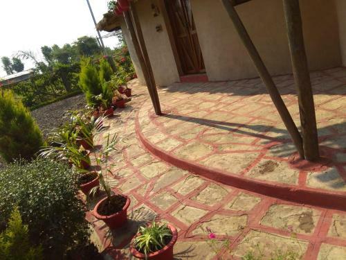 Zorba Farms