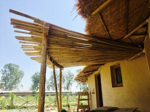 Zorba Farms