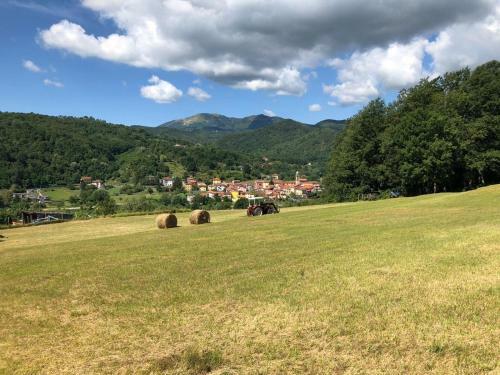 Villa Le Pianelle