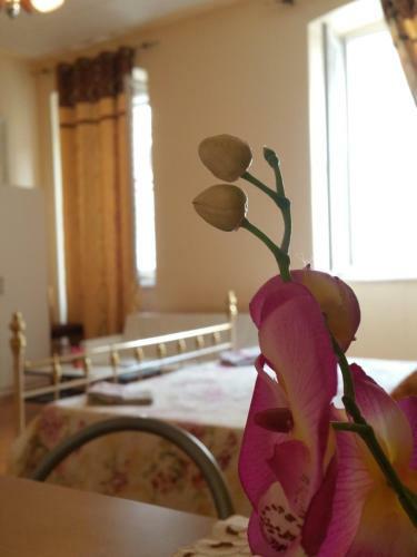 Bed & Breakfast Guerrero Rooms