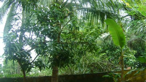 Apartamento Work From Home Studio -work From Odisha