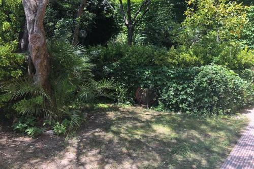 Apartamento House With Garden Baia Dei Saraceni