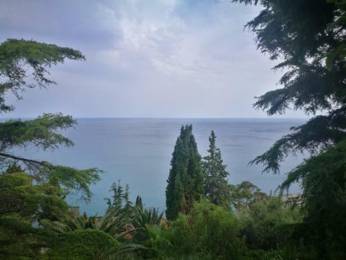 Lo Scoglio Apartment