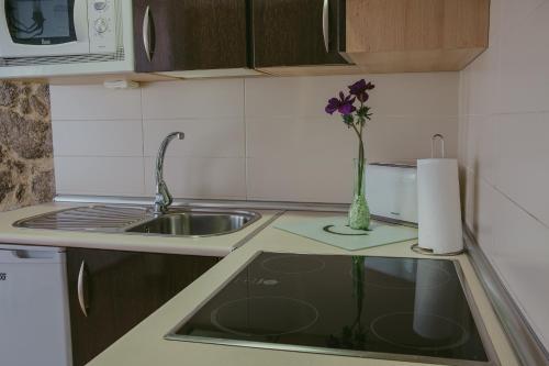 Apartamentos Valdesierra