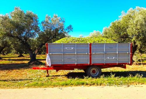 Agroturismo Feudo Delle Querce