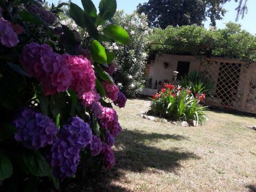 Apartamento Chez Nous