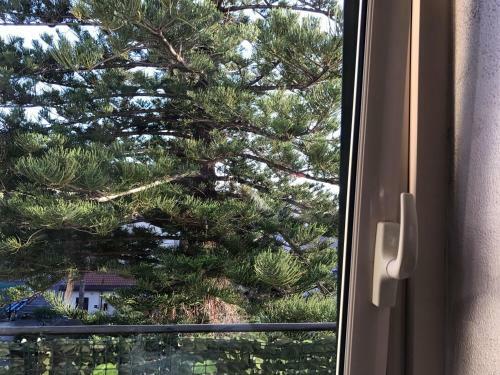 Apartamento Belvedere